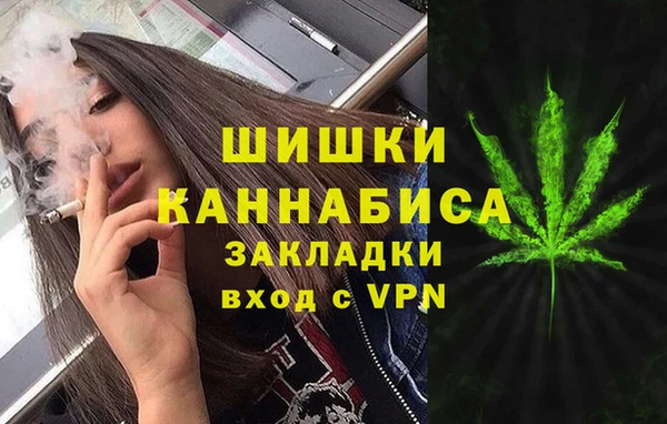 сатива Михайлов