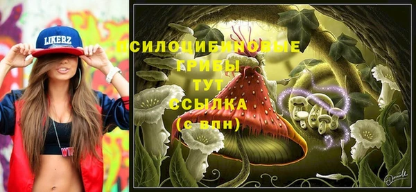 спиды Михайловка