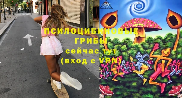 сатива Михайлов