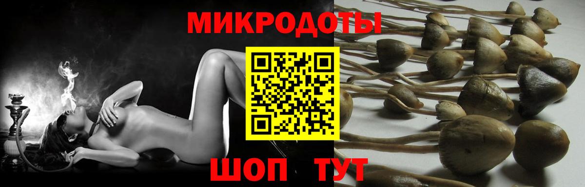 Галлюциногенные грибы мухоморы Туапсе